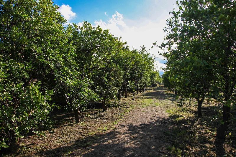 Agriturismo Galea Рипосто Экстерьер фото