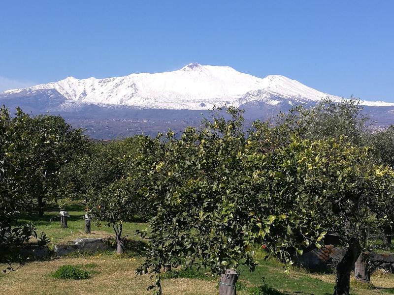Agriturismo Galea Рипосто Экстерьер фото