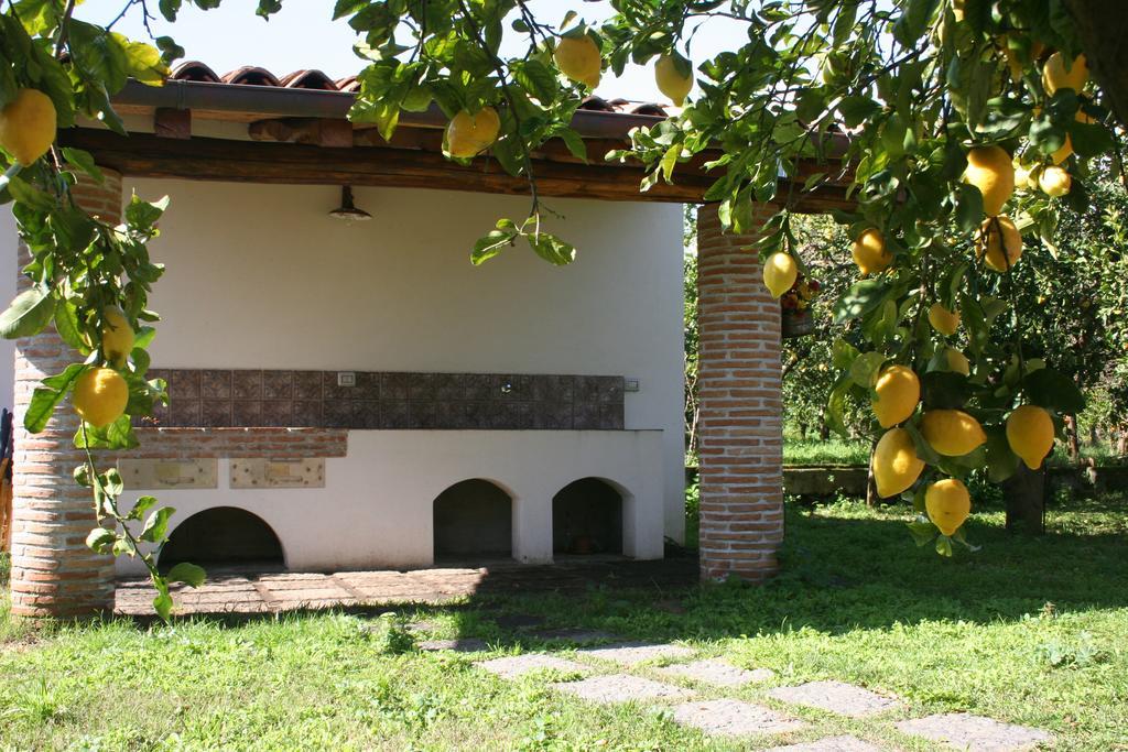 Agriturismo Galea Рипосто Экстерьер фото
